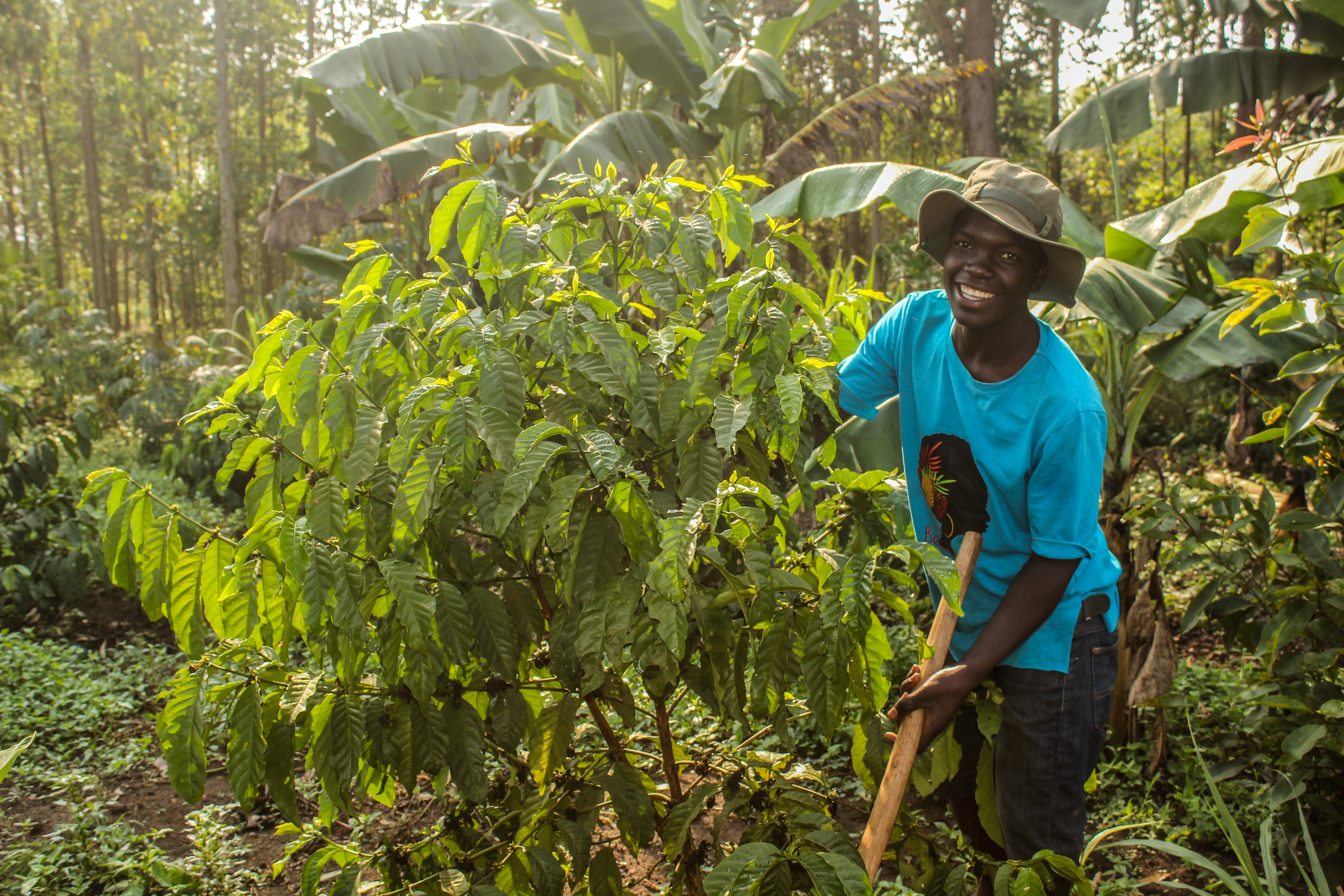 Farming and livelihoods