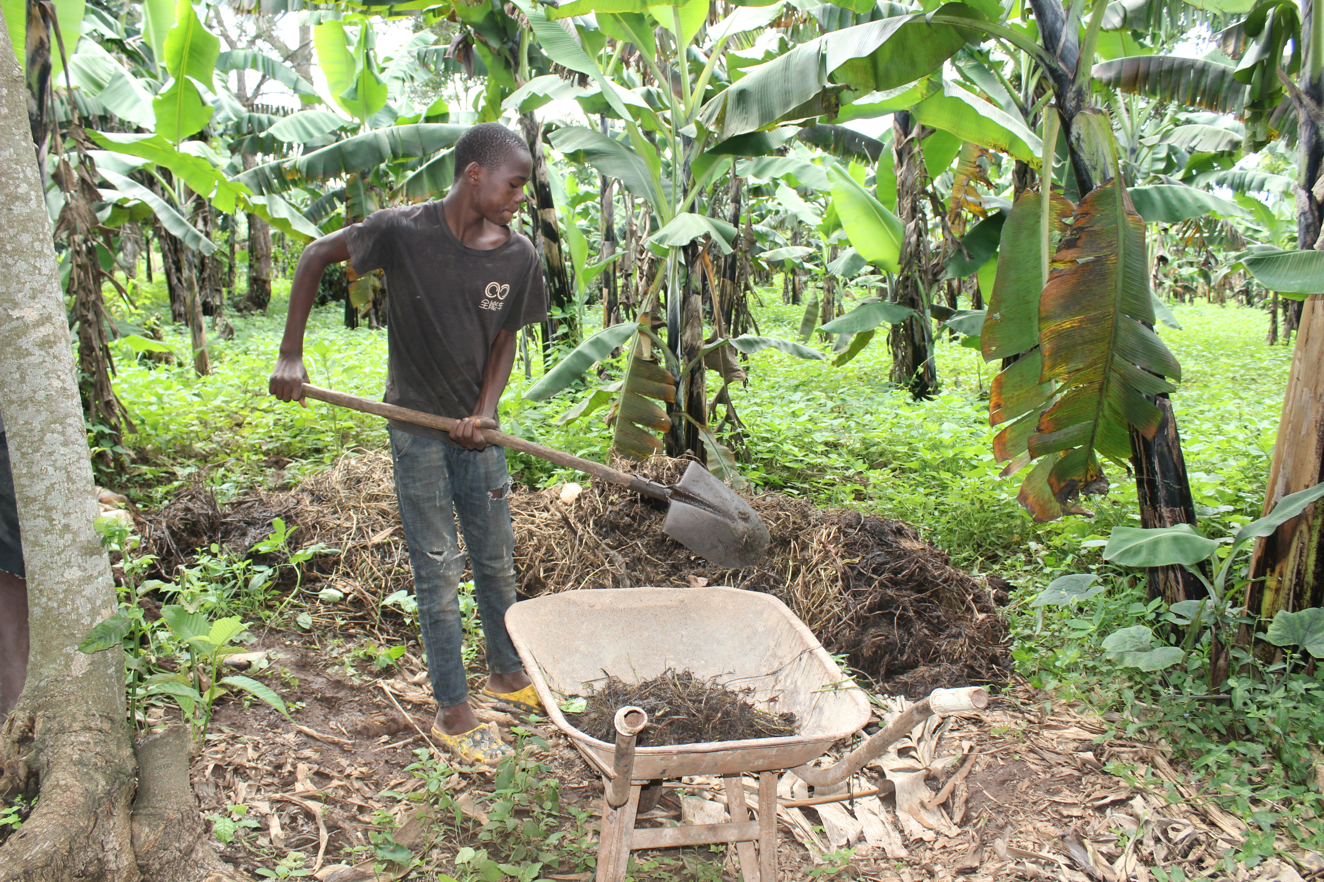 People learning and working on the farm