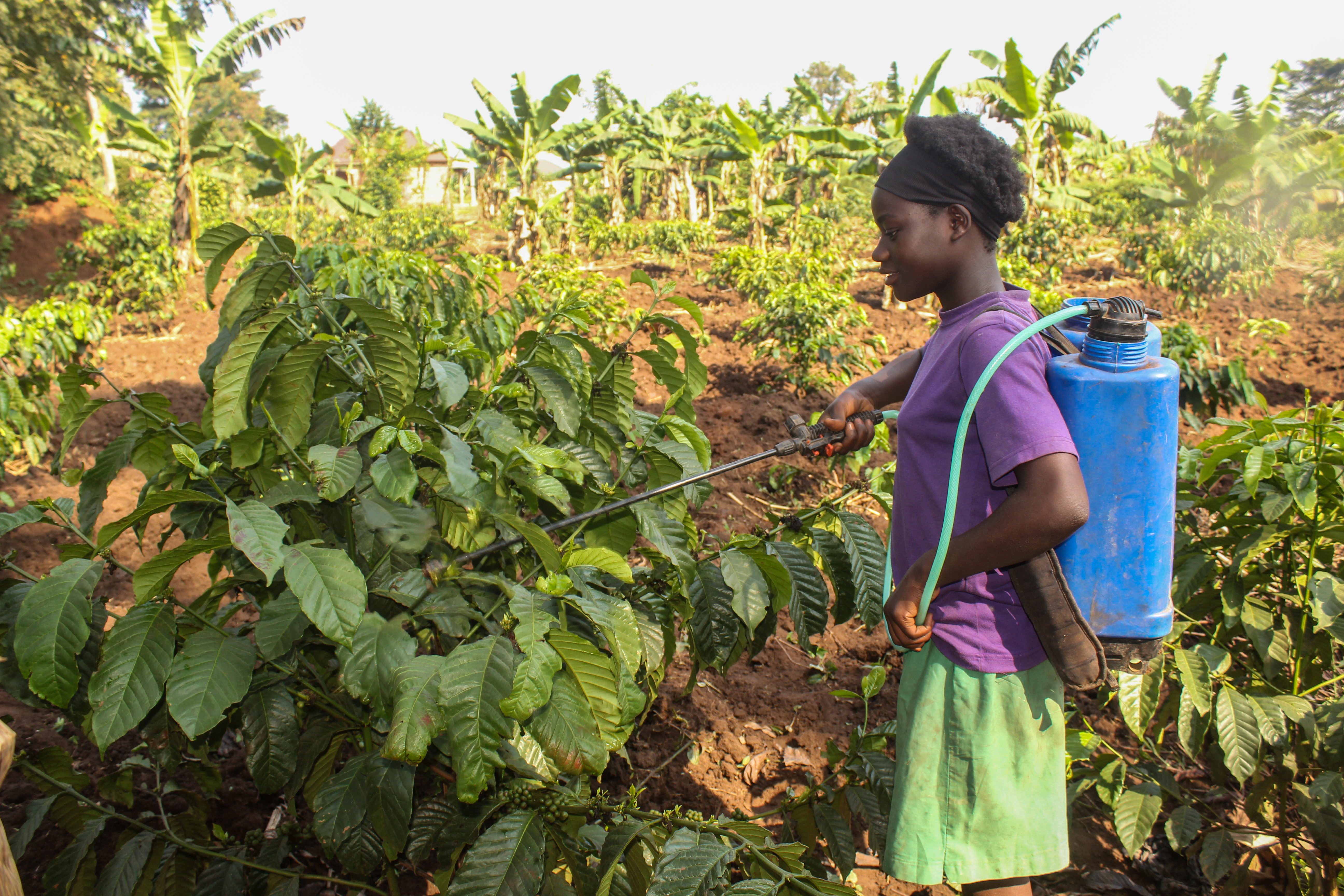 Students learning practical farming skills